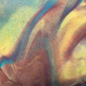 Meet your Posher, Carl